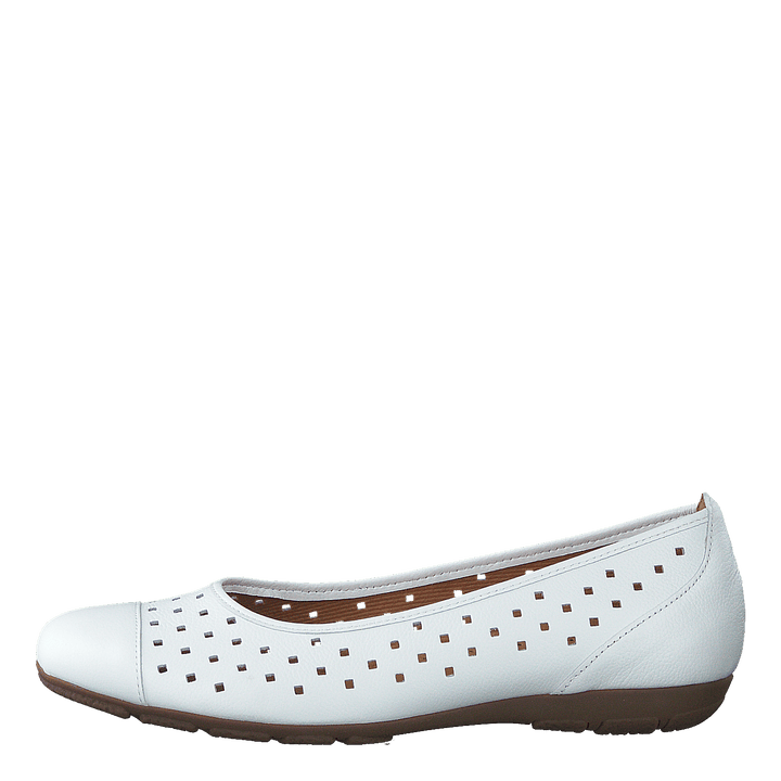44.169.21 White