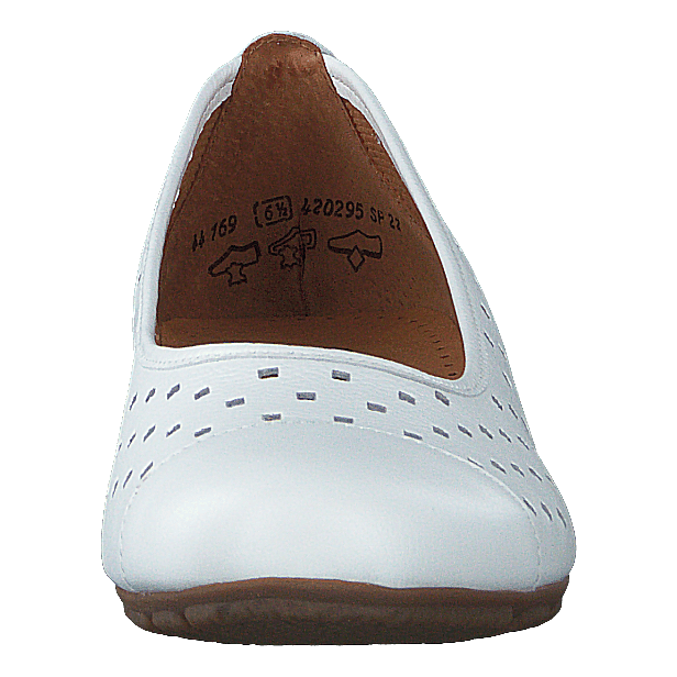 44.169.21 White