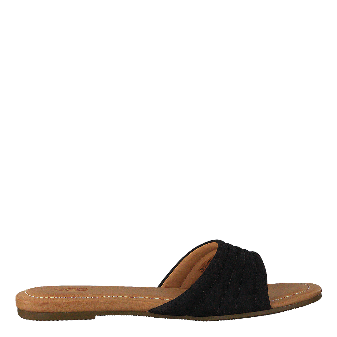 Jurupa Black