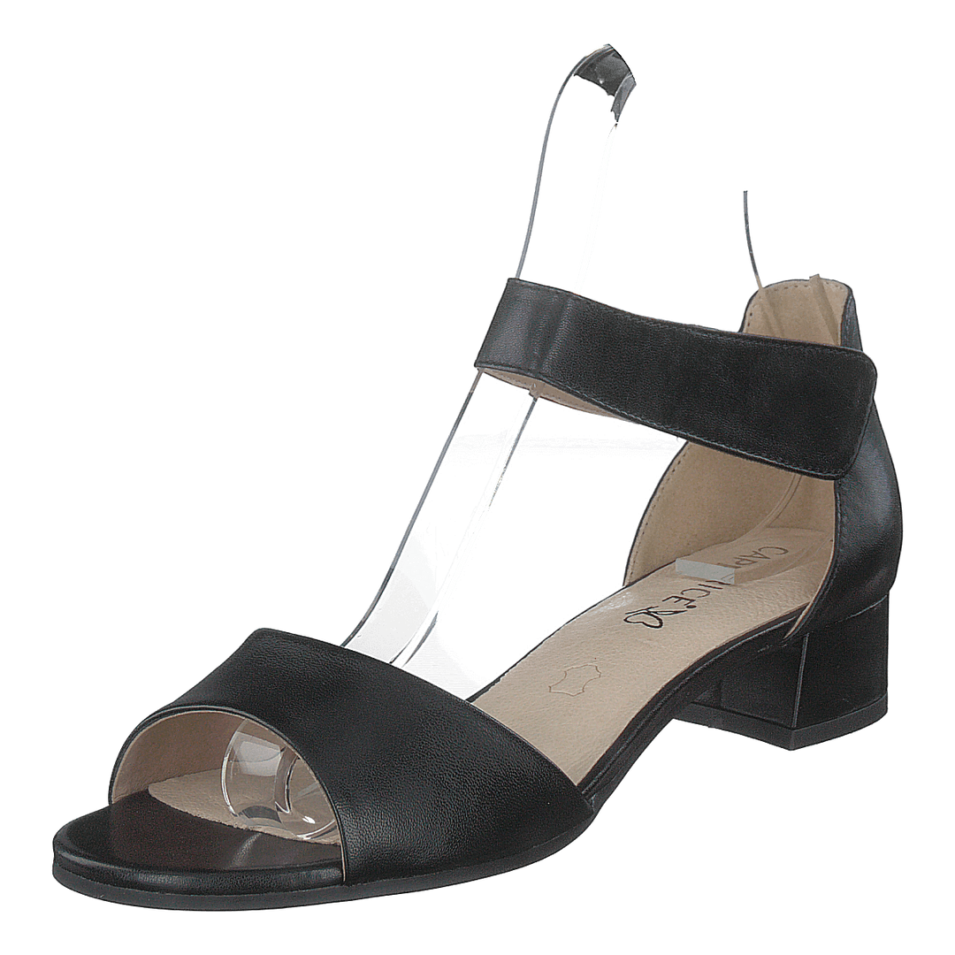 Carla Black Nappa