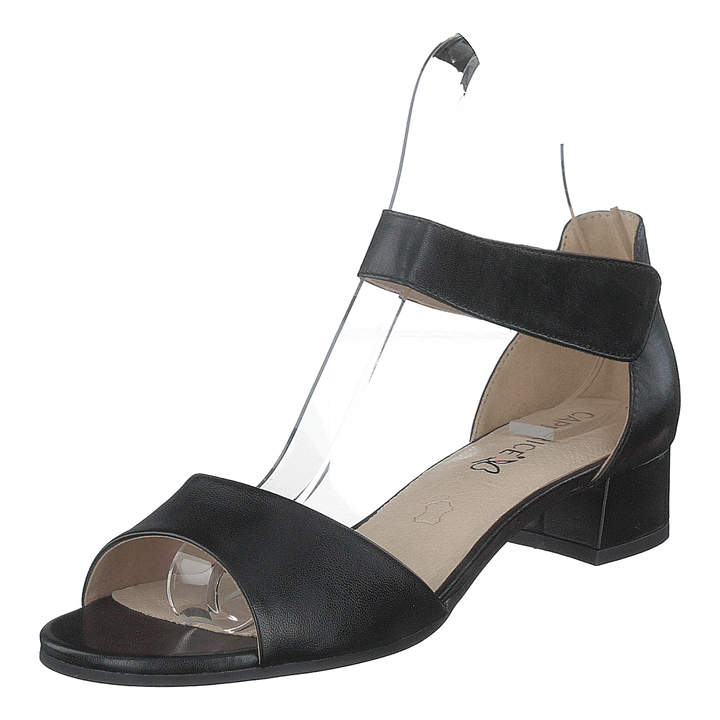 Carla Black Nappa
