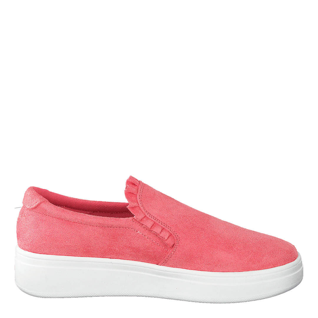 73-42717 Coral