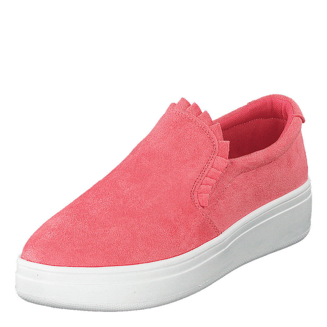 73-42717 Coral