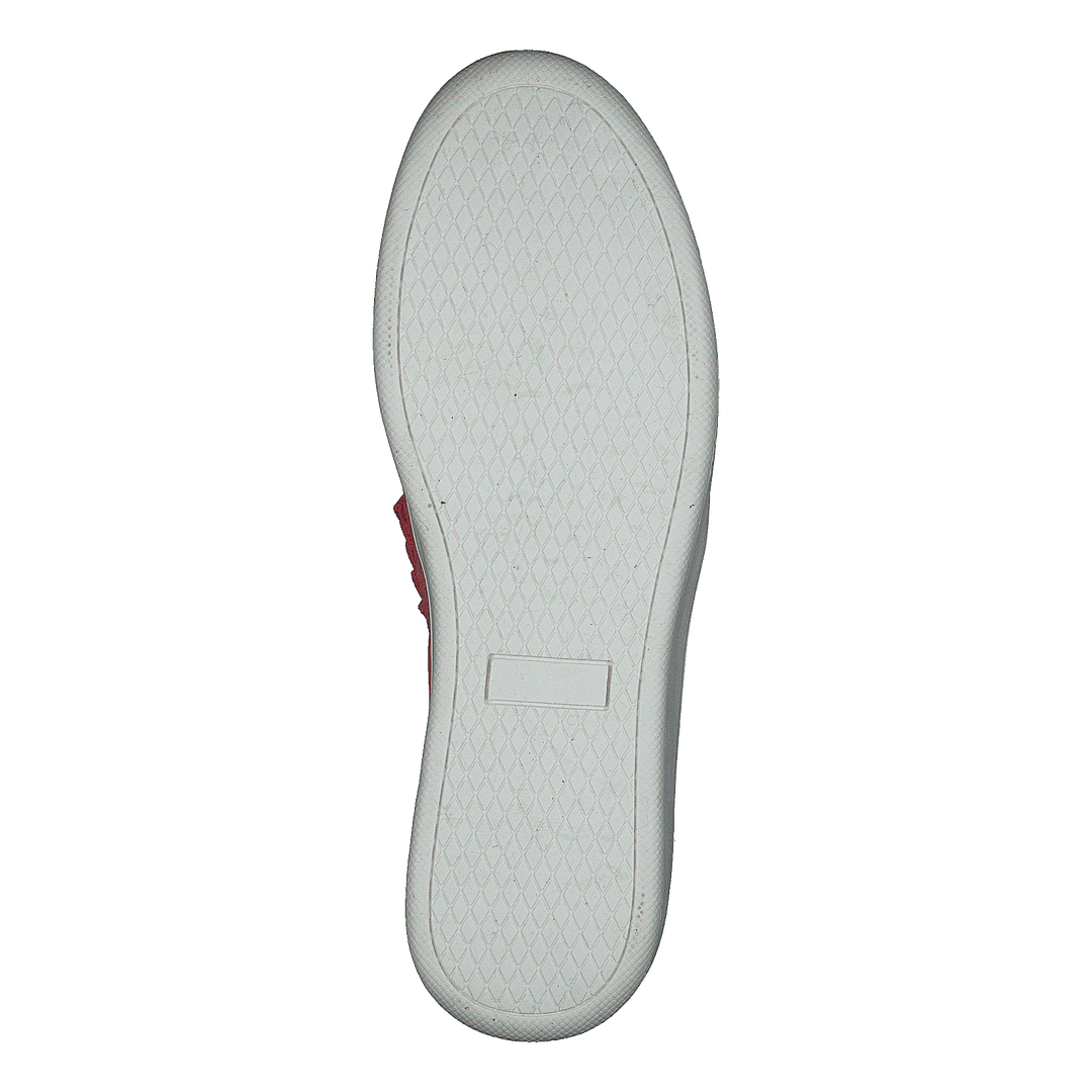 73-42717 Coral
