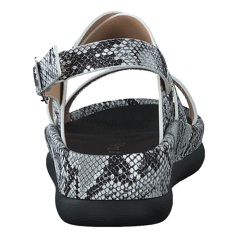 97-09095 Black/white