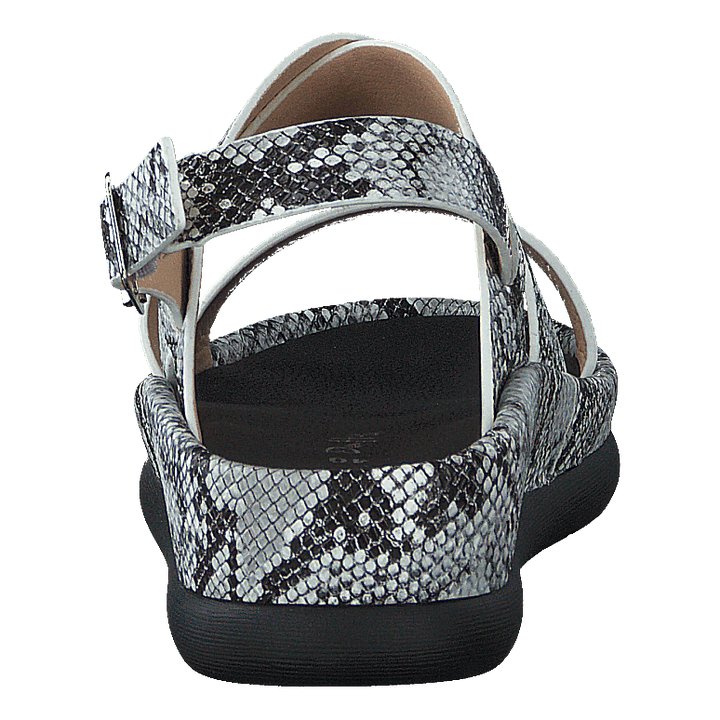 97-09095 Black/white