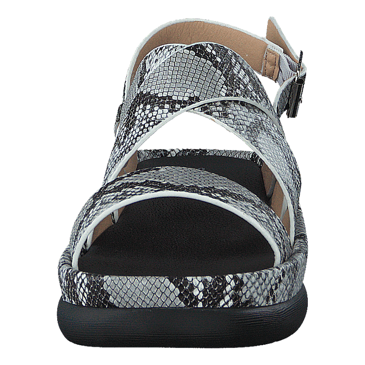 97-09095 Black/white