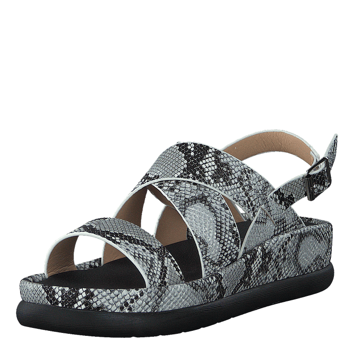 97-09095 Black/white