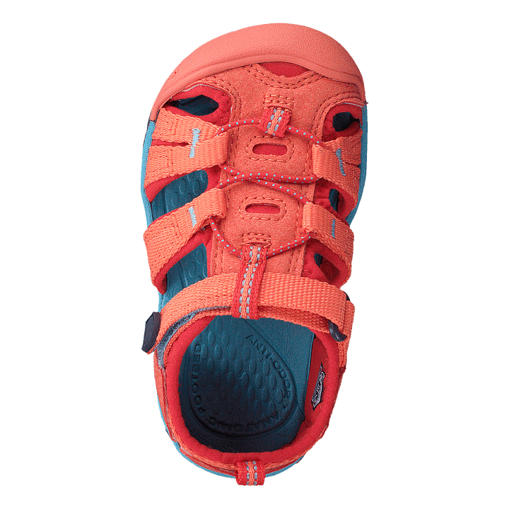 Seacamp Ii Cnx Tots Coral/poppy Red