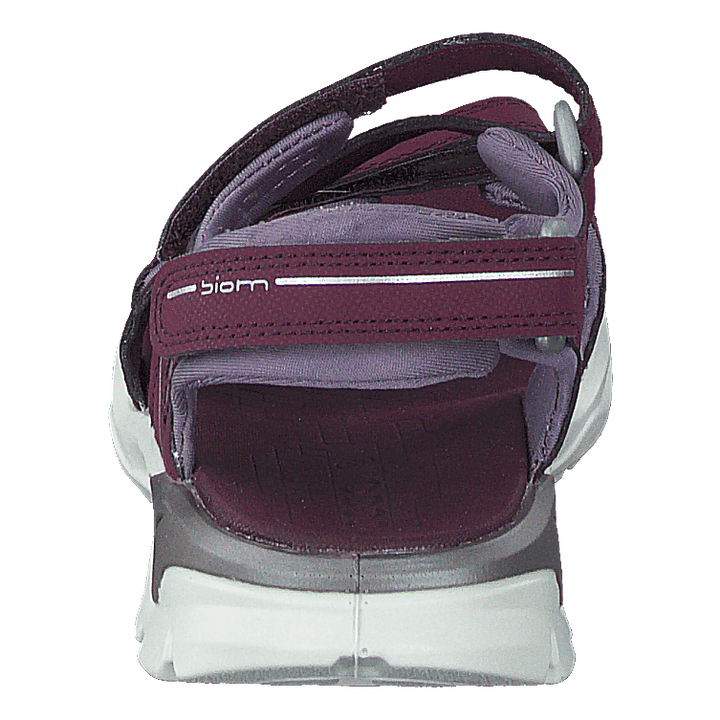 Biom Raft Aubergine