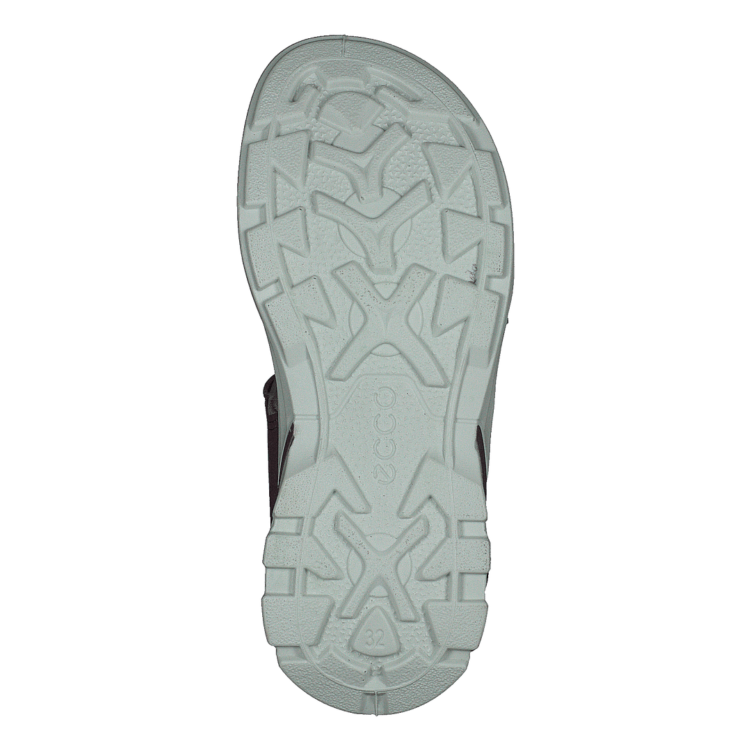 Biom Raft Aubergine
