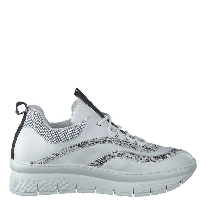 Hedvig Mix Snake / Bianco
