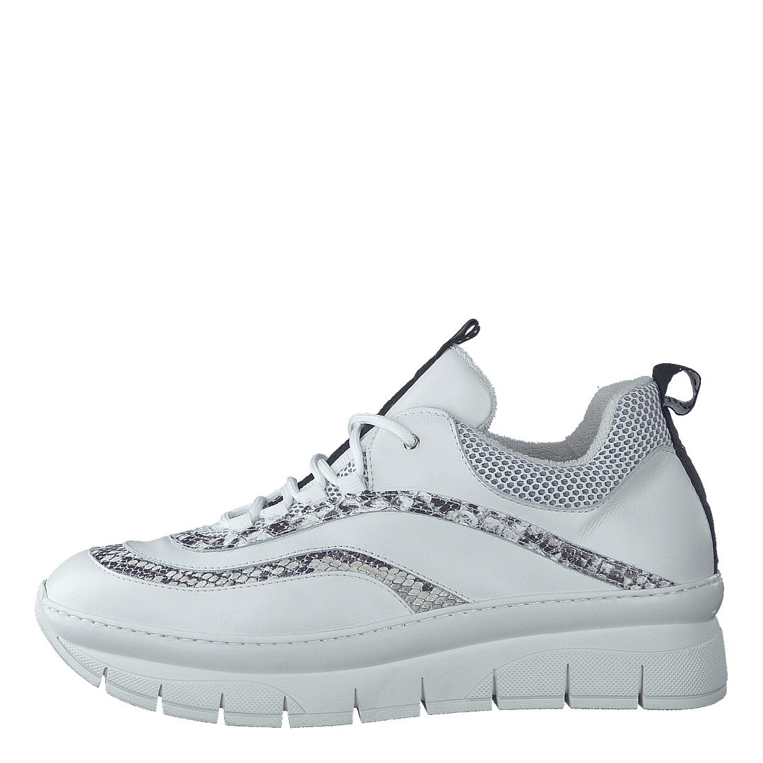 Hedvig Mix Snake / Bianco