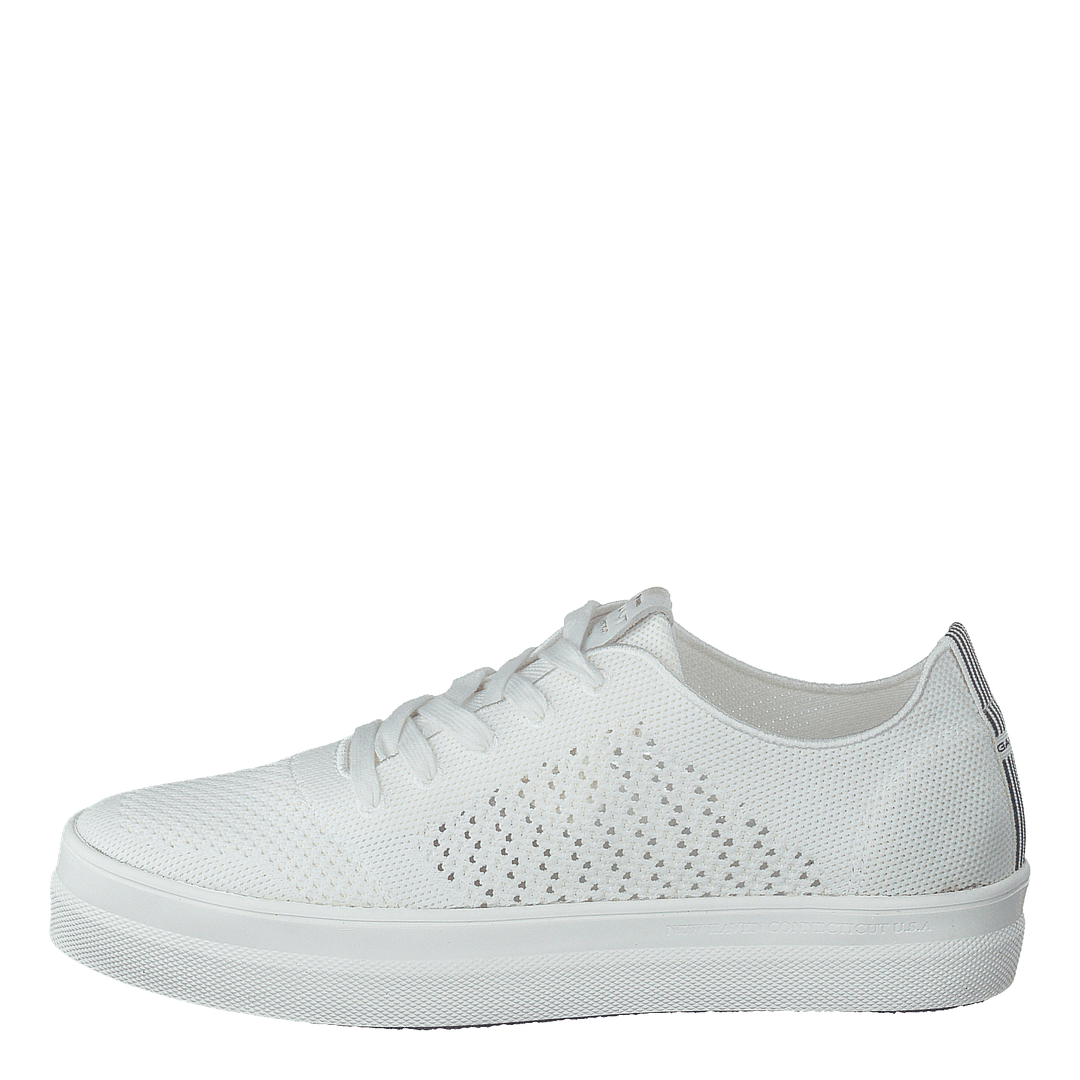 Leisha Low Lace Shoes G29 - White