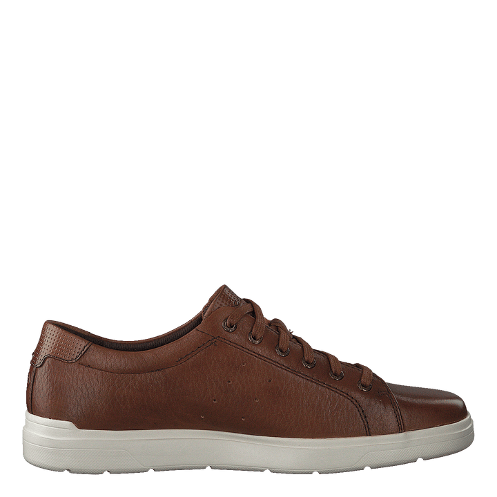 Cognac Toledo Cognac Toledo