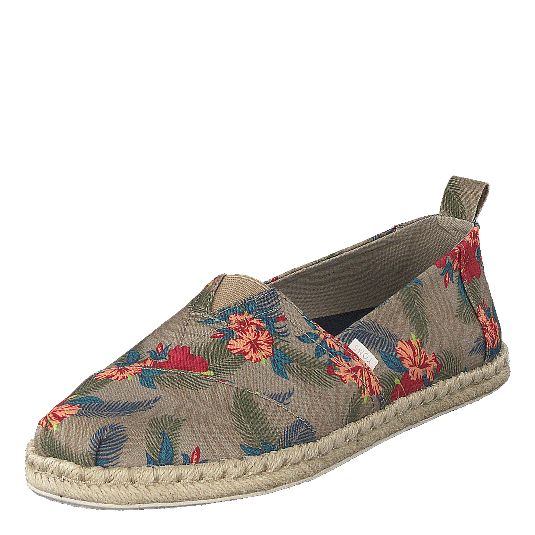 Oxfd Tan Tropical/rp Mn Alpr E Natural