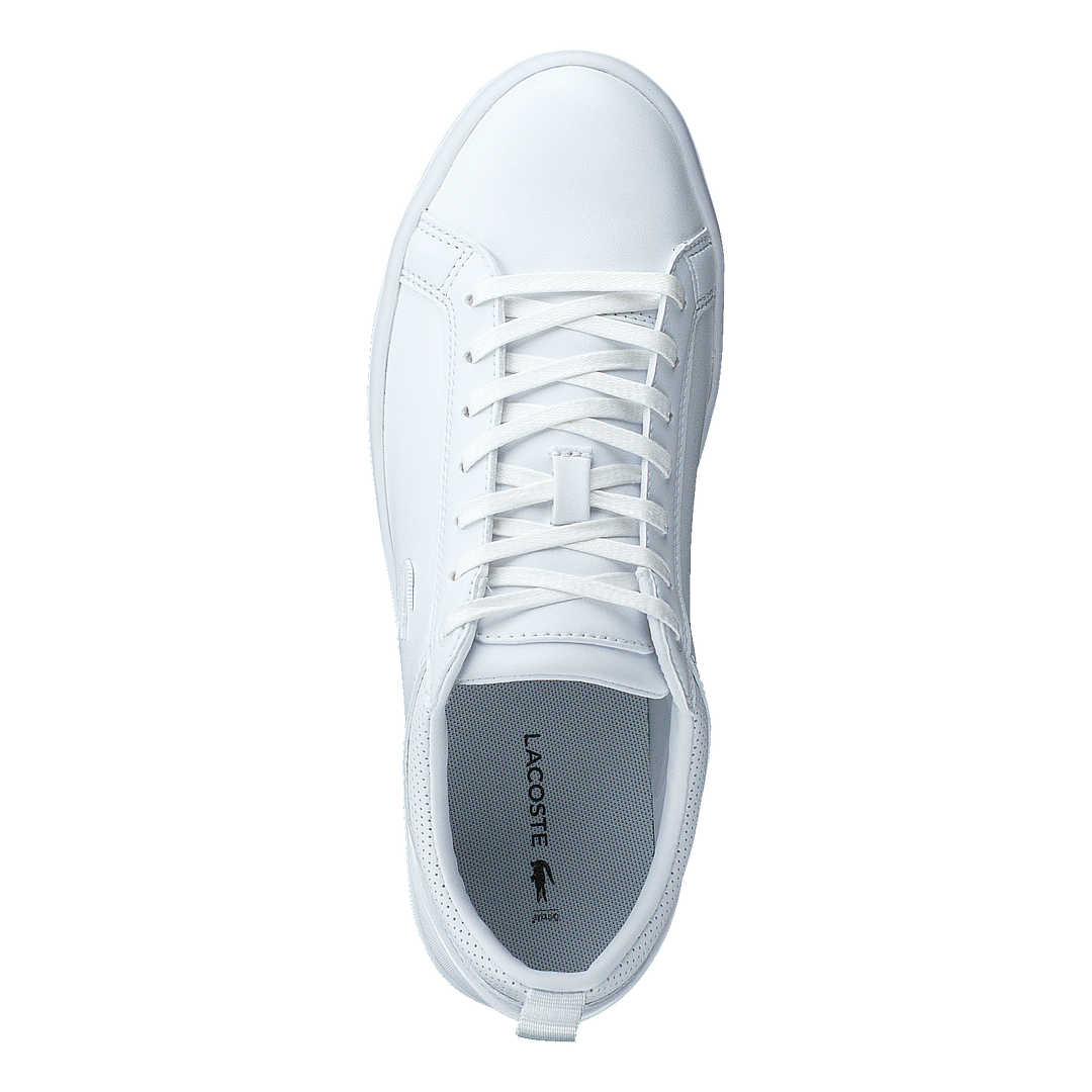 Straightset 120 1 Cfa Wht/wht
