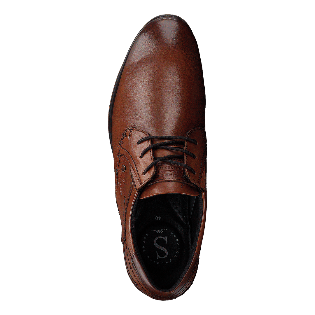 451-8568 Cognac