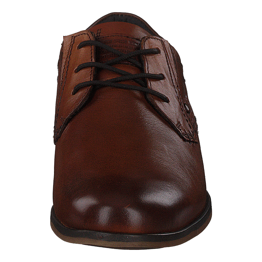451-8568 Cognac