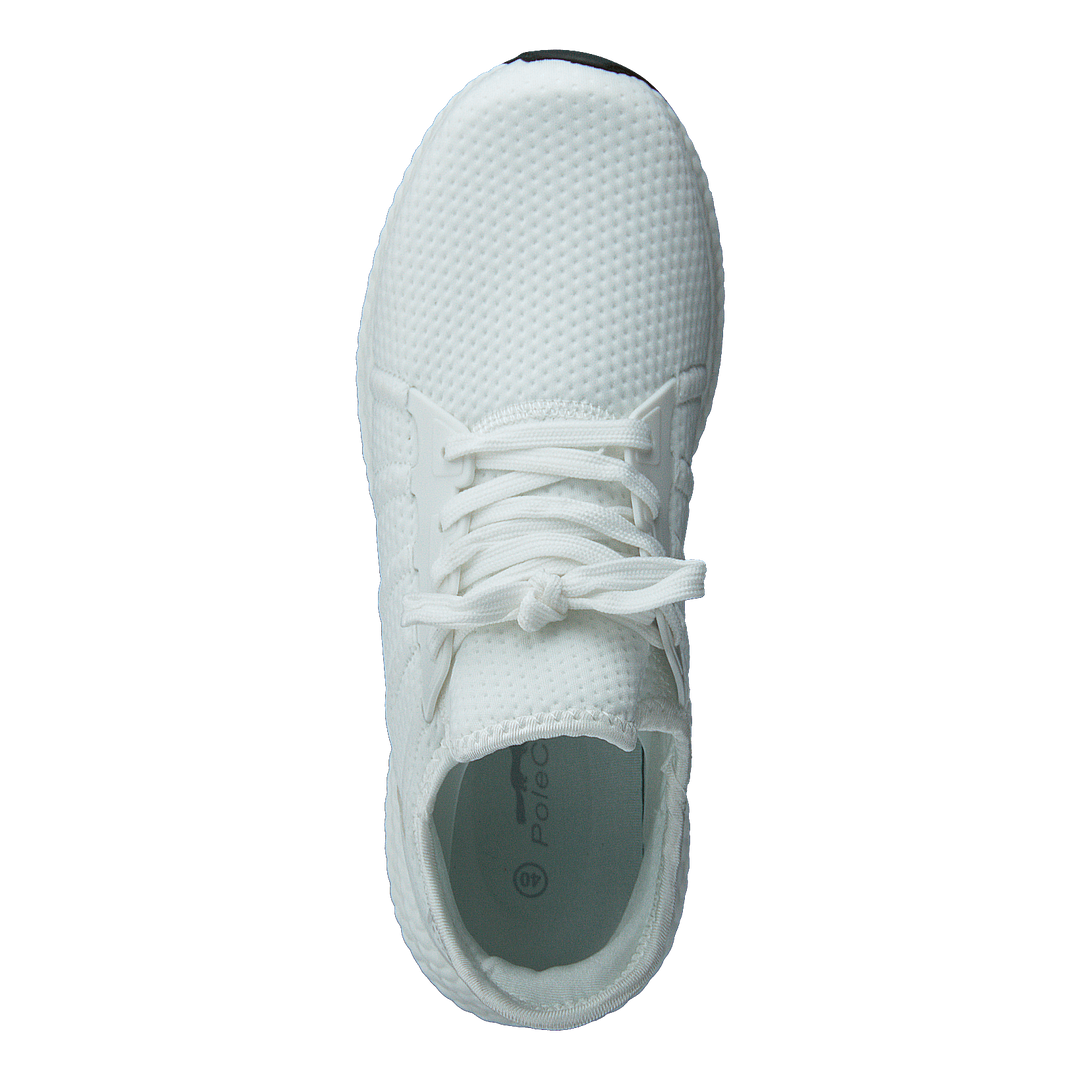 441-6267 White