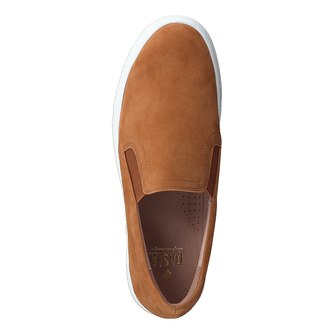Starlily Plane Brown