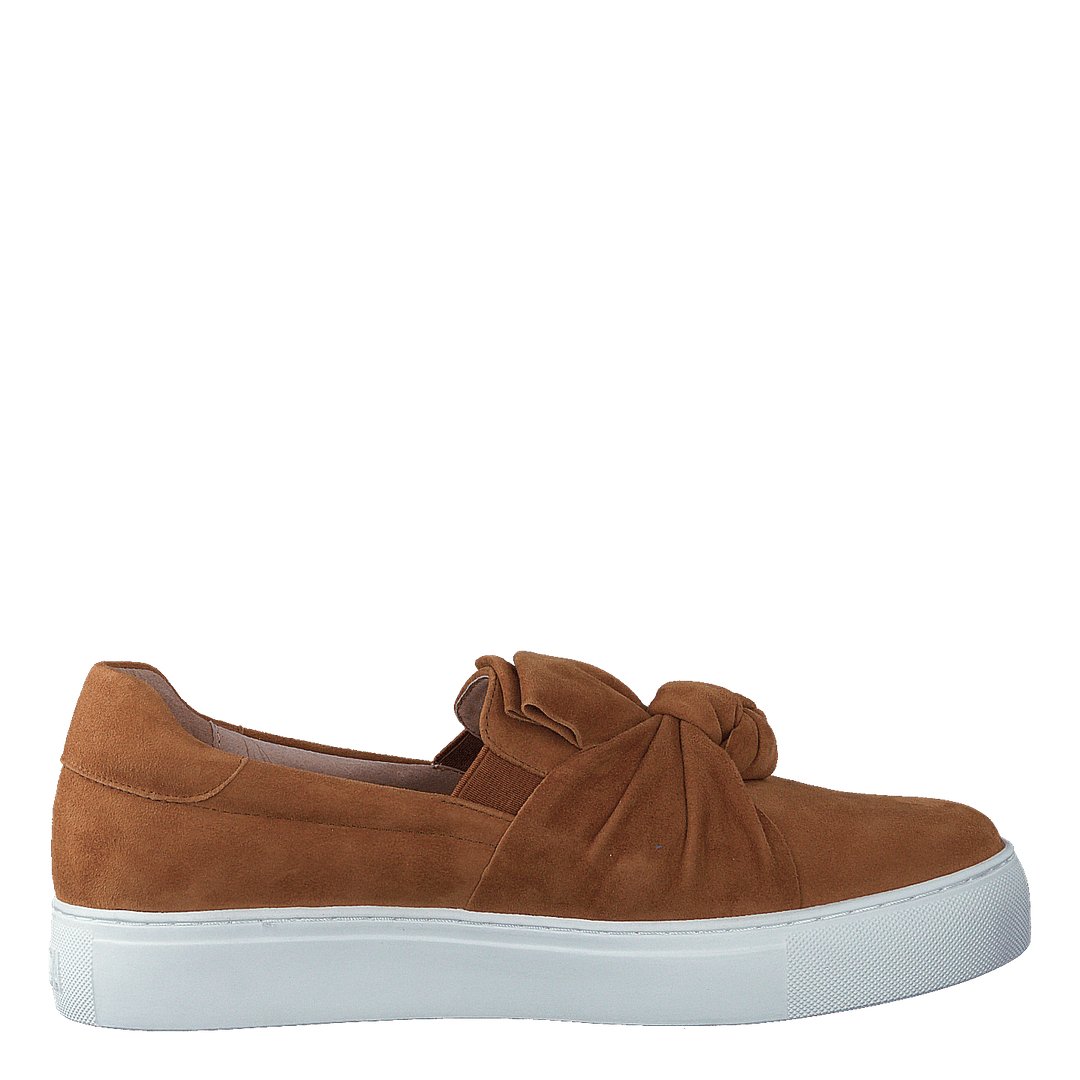 Starlily Bowstrap Brown