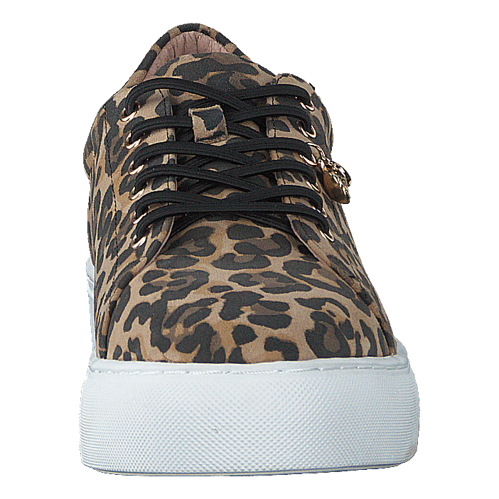 Starlily Lace Up Leo