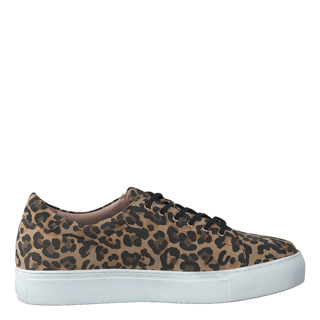 Starlily Lace Up Leo