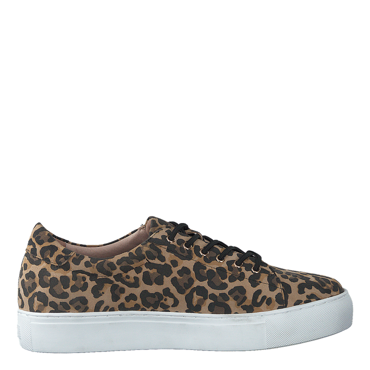 Starlily Lace Up Leo