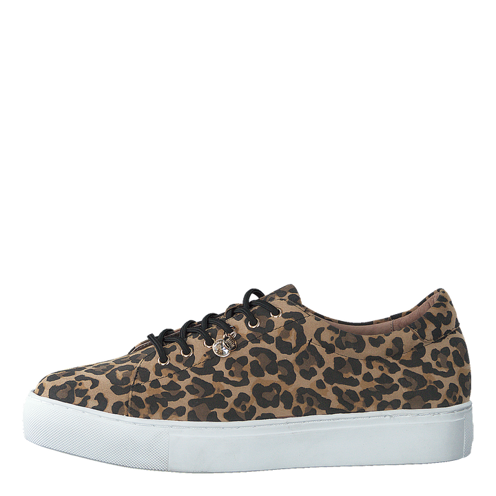 Starlily Lace Up Leo