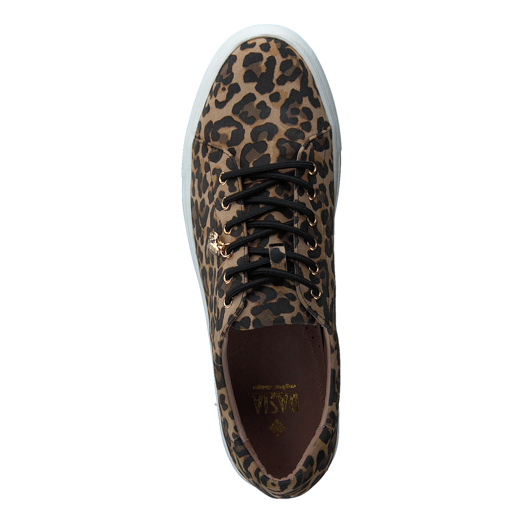 Starlily Lace Up Leo