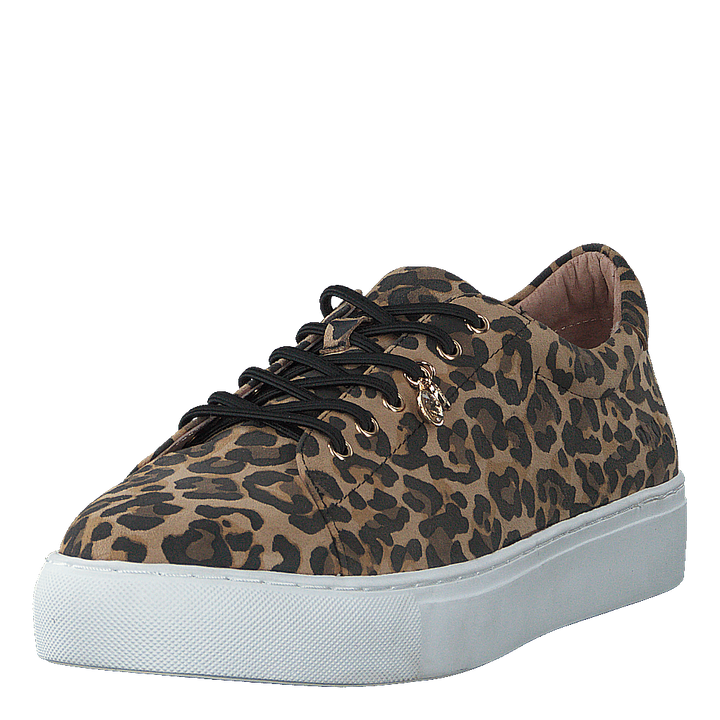 Starlily Lace Up Leo