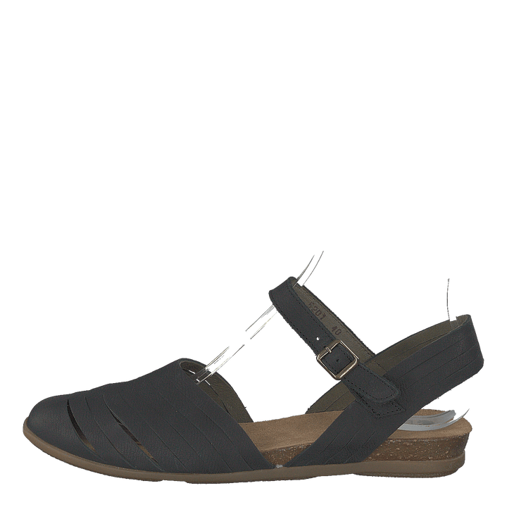 Stella Black