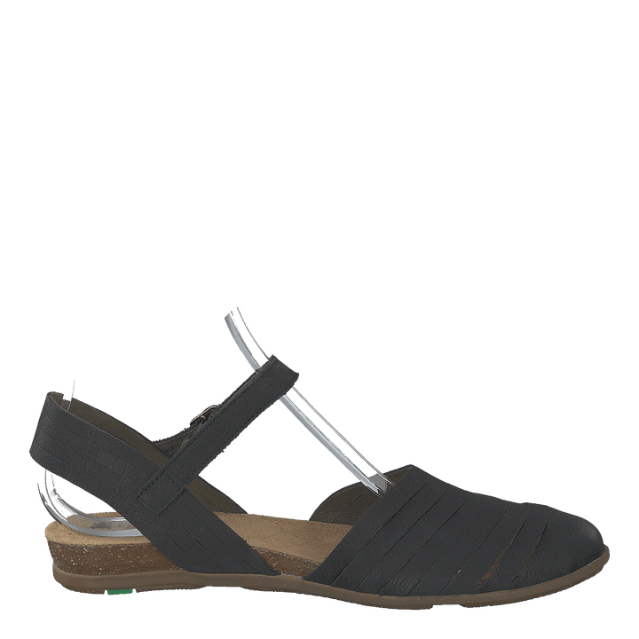 Stella Black