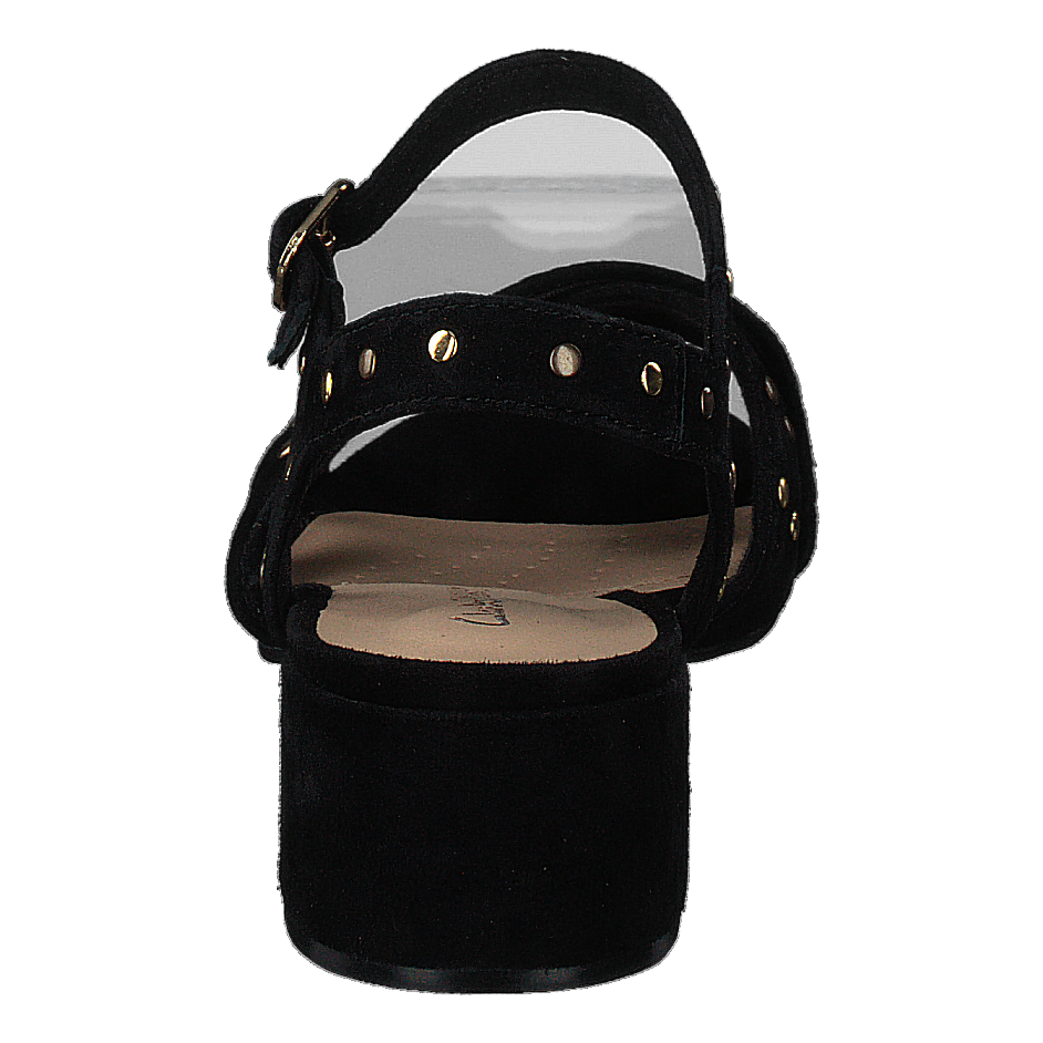 Sheer35 Strap Black Suede Studded