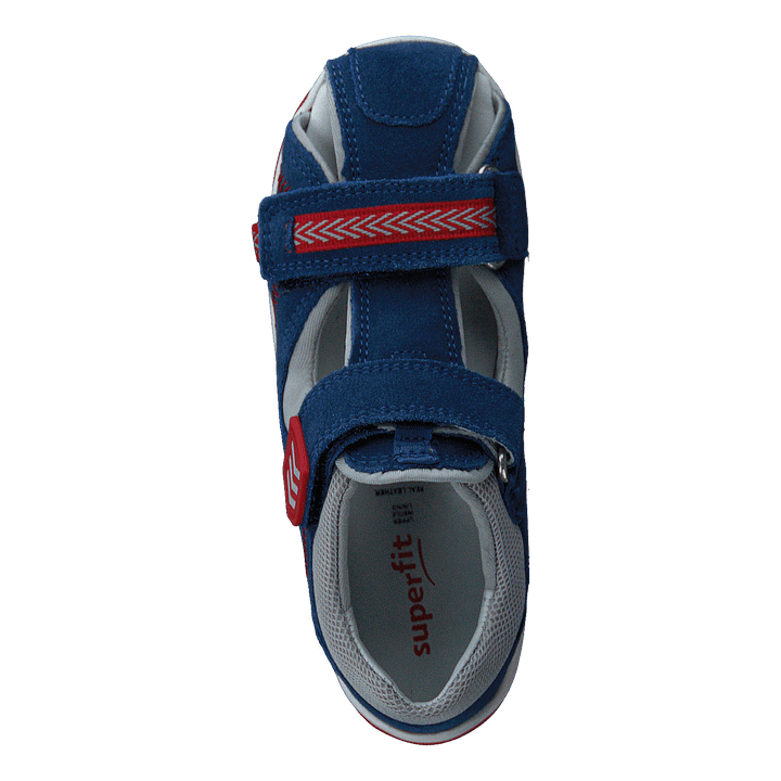 Freddy Ocean - Heppo.com