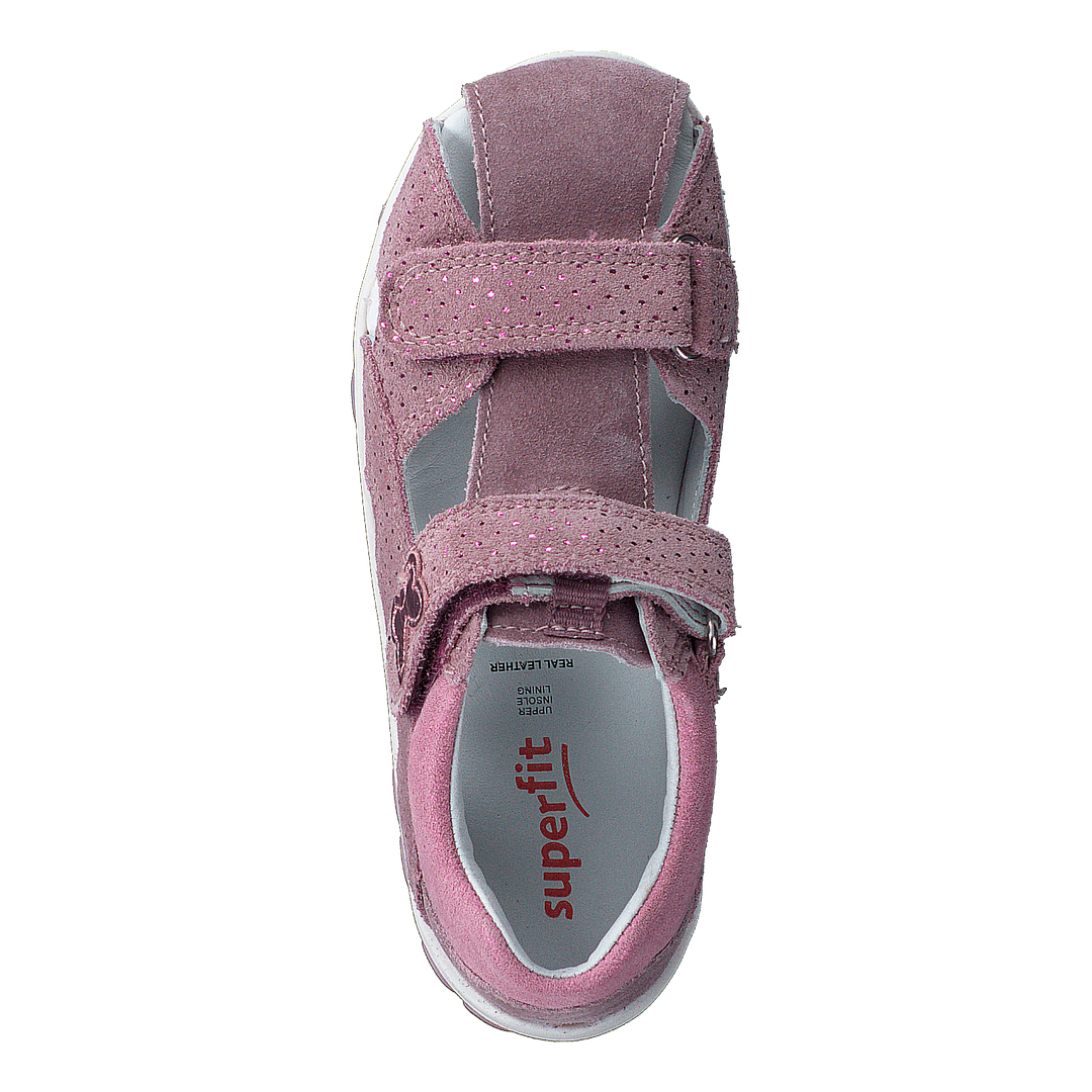 Fanni Lila/Pink