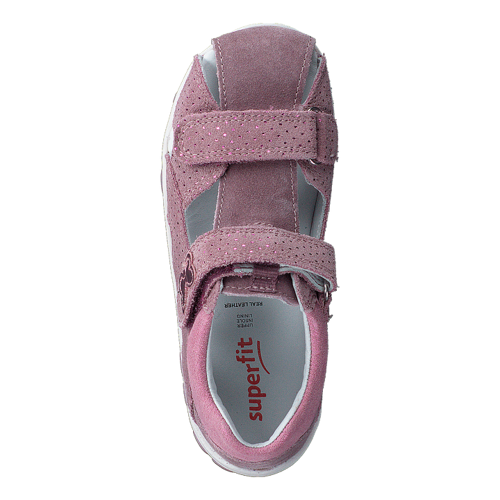 Fanni Lila/Pink