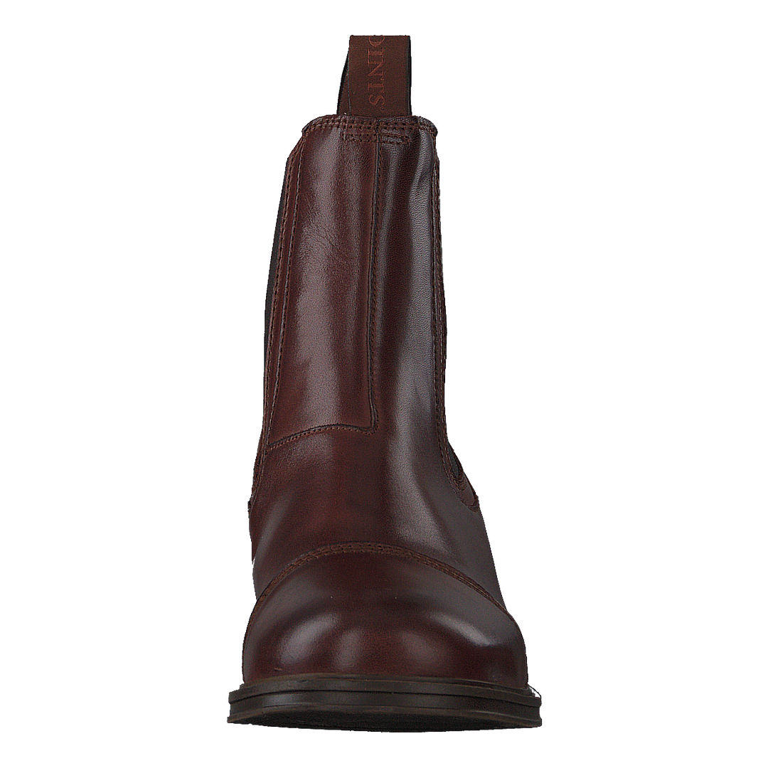 Pandora Roasted Brown