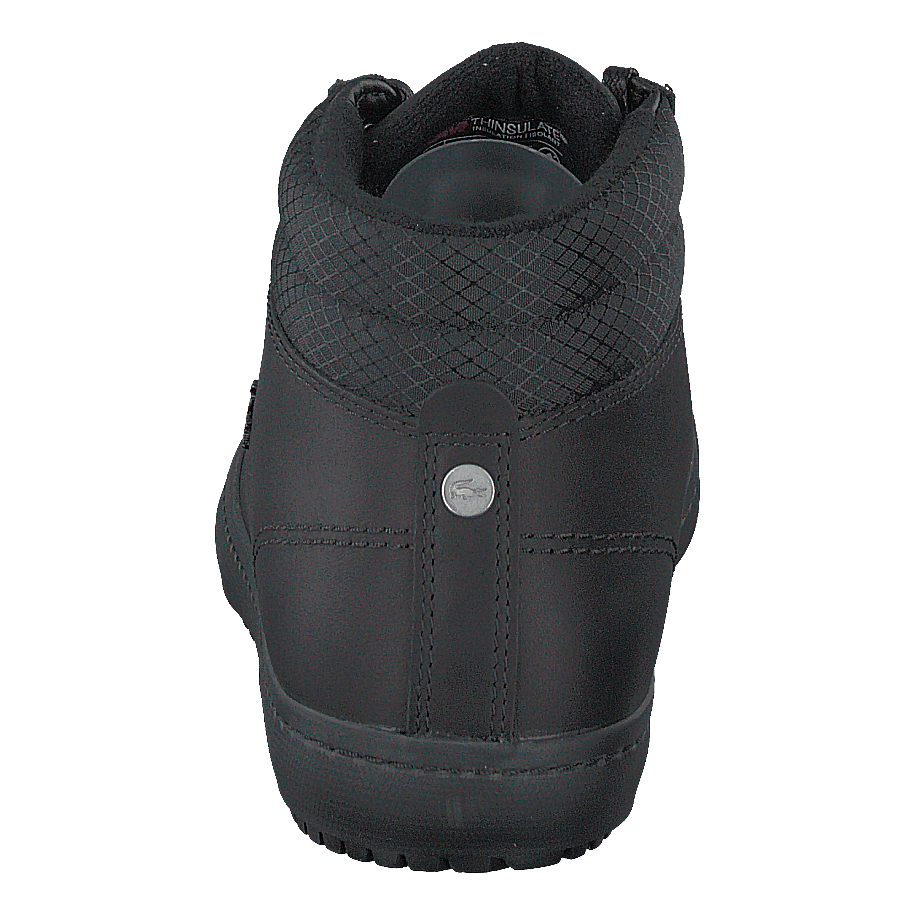 Straightset Thrm 03201cma Blk/blk