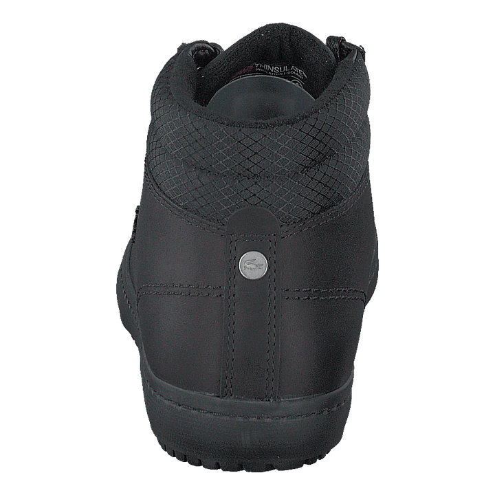 Straightset Thrm 03201cma Blk/blk