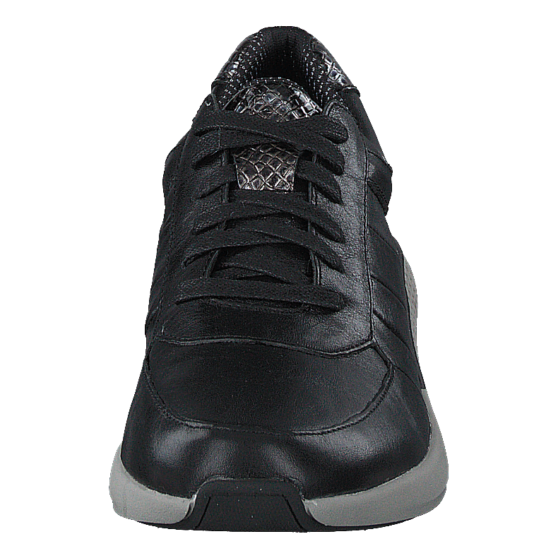 Dolphin Black