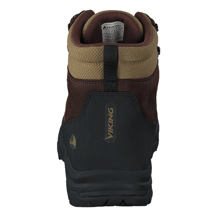 Lofoten Gtx Brown