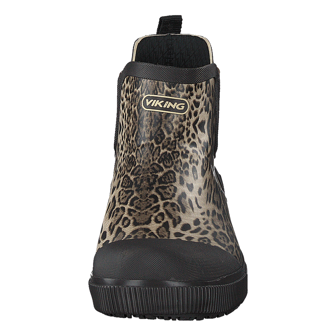 Praise Leo Dark Brown/beige