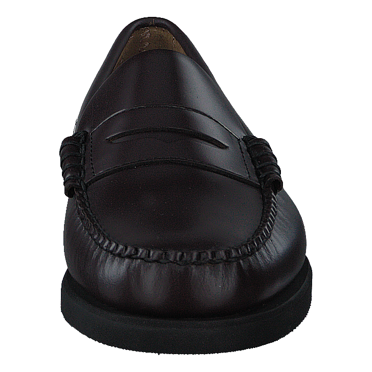 Dan Polaris Dark Brown
