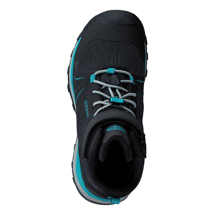 Terradora Ii Mid Wp Magnet/bluebird