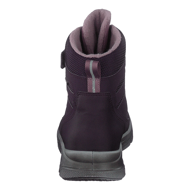 Mars Gore-tex Lila
