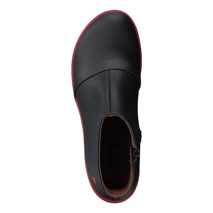 Alfama Blackgrosella