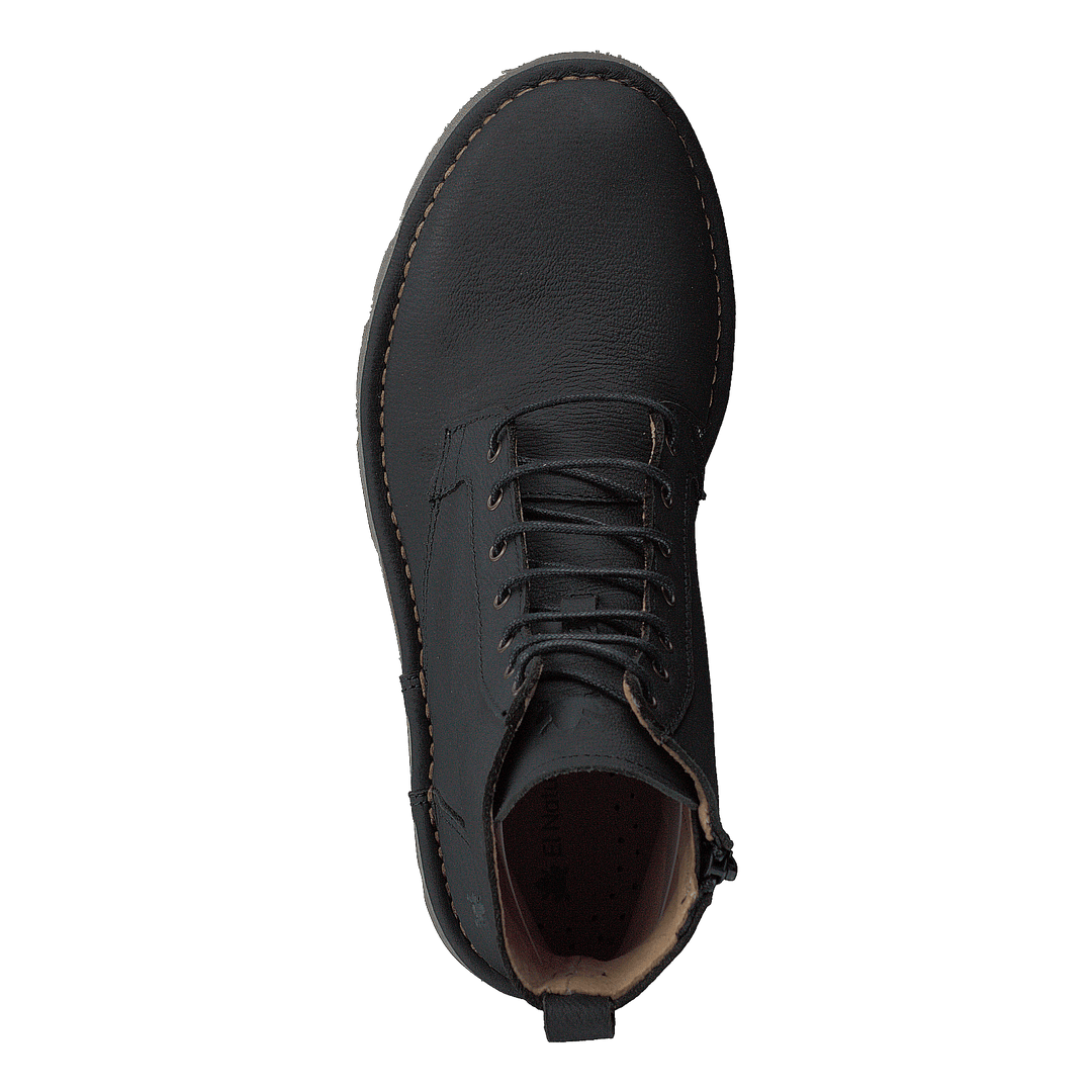Forest Black