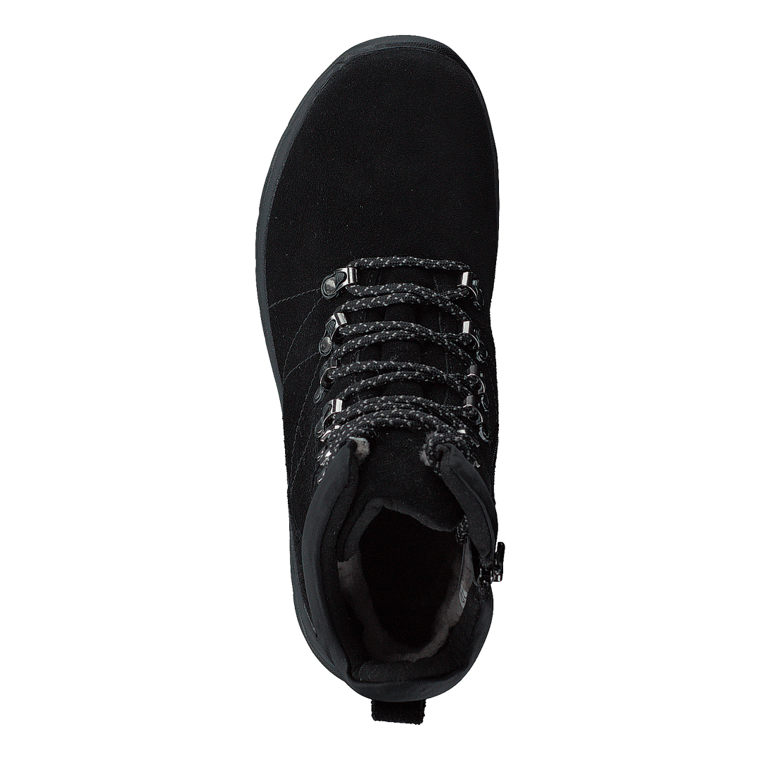 Goldy Studs Black 06